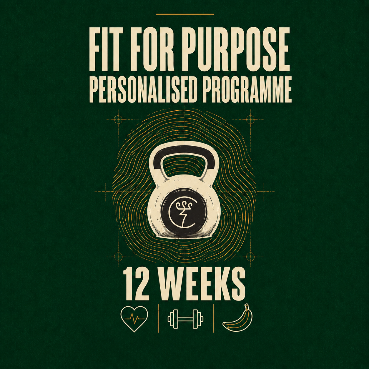 Audit + Personalised Programme